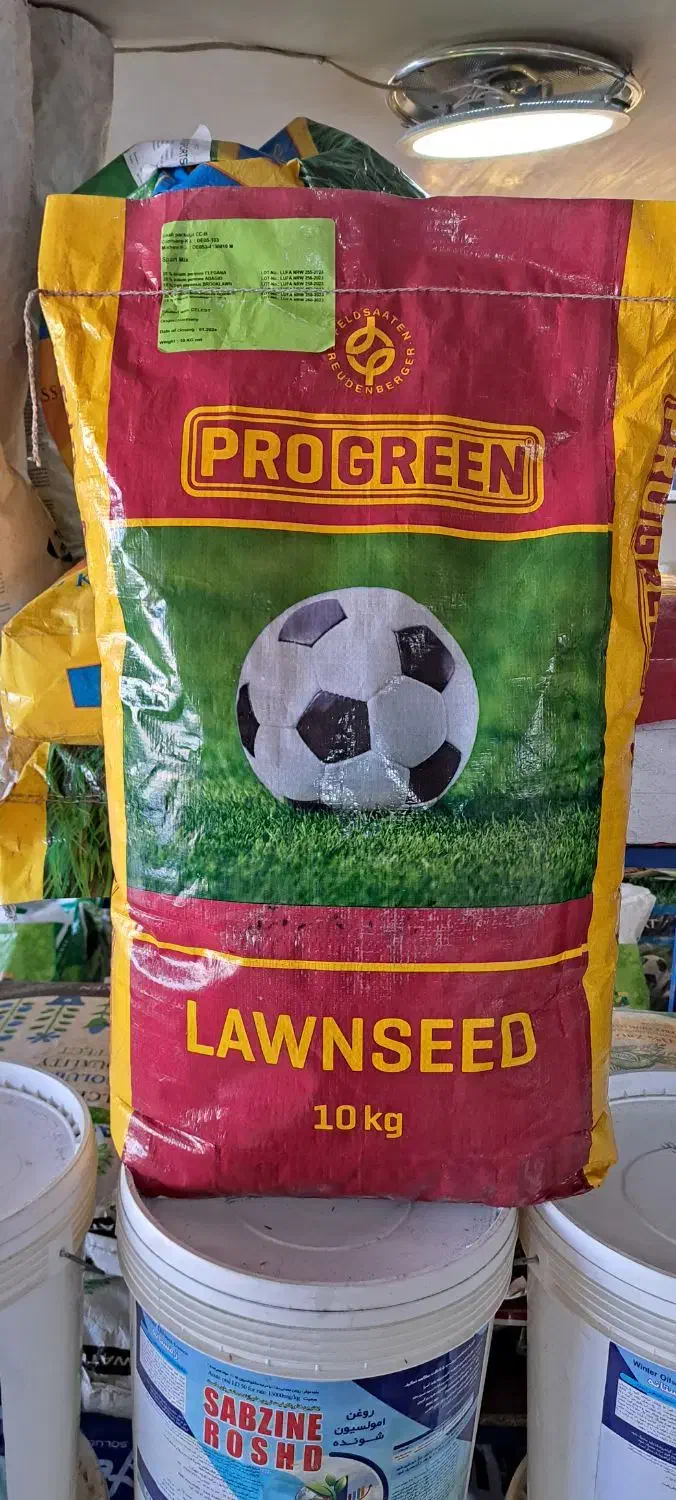 بذر چمن PROGREEN|گل و گیاه طبیعی|خسروشاه, |دیوار