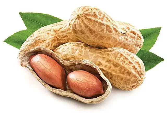 استخدام نیروی آقا در شهرک صنعتی نقره ده|استخدام صنعتی، فنی، مهندسی|آستانه اشرفیه, |دیوار