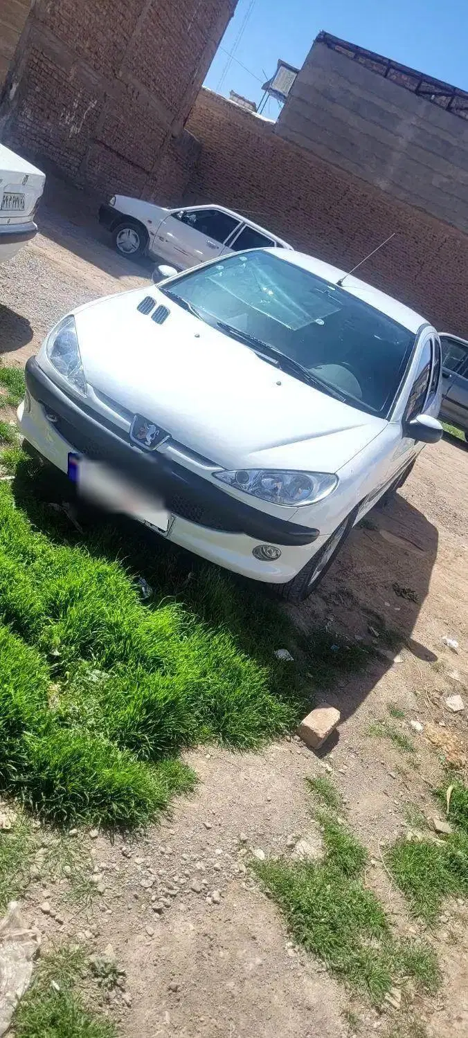 ۲۰۶sd v8|خودرو سواری و وانت|کرمان, |دیوار