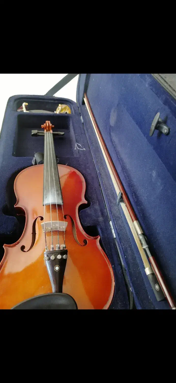 ویالون دست ساز استاد روستا|ویولن|شیراز, زرگری|دیوار