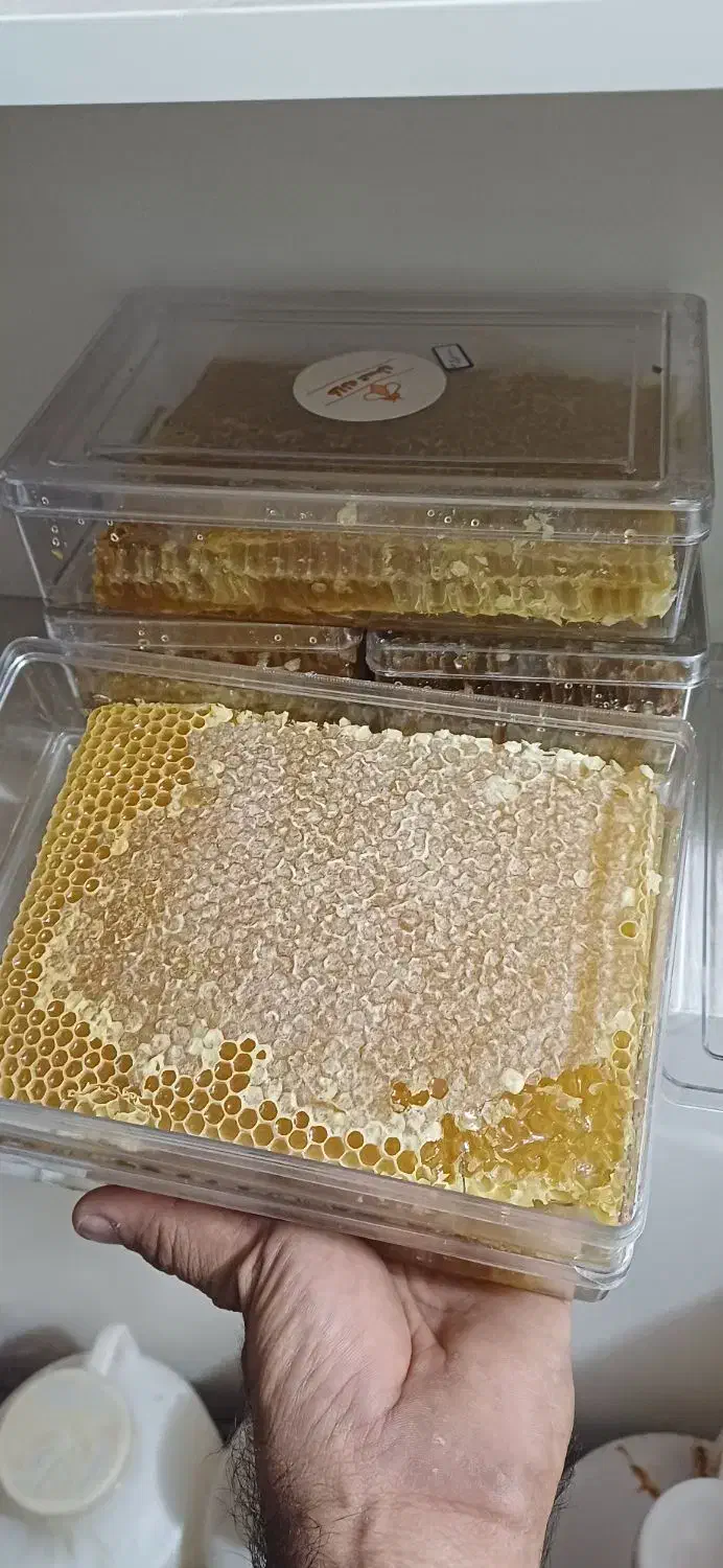 انواع عسل ومعجون تقویت قوا شاهانه|خوردنی و آشامیدنی|زابل, |دیوار