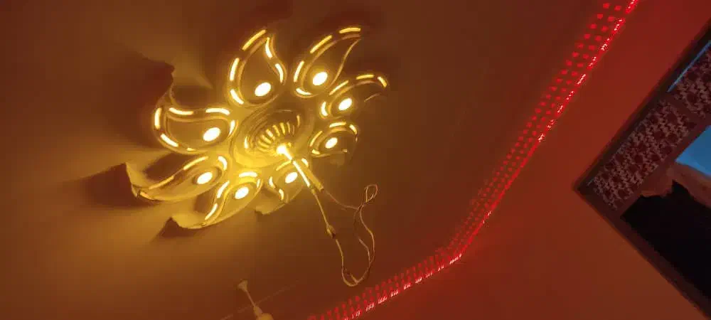 گجکاری وه لگه گیری فذیرفته میشود|خدمات پیشه و مهارت|زابل, |دیوار