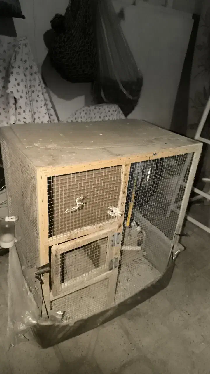 قفس پرنده عروس هلندی وپرندهدهای دیگه|لوازم جانبی حیوانات|کرج, گلدشت|دیوار