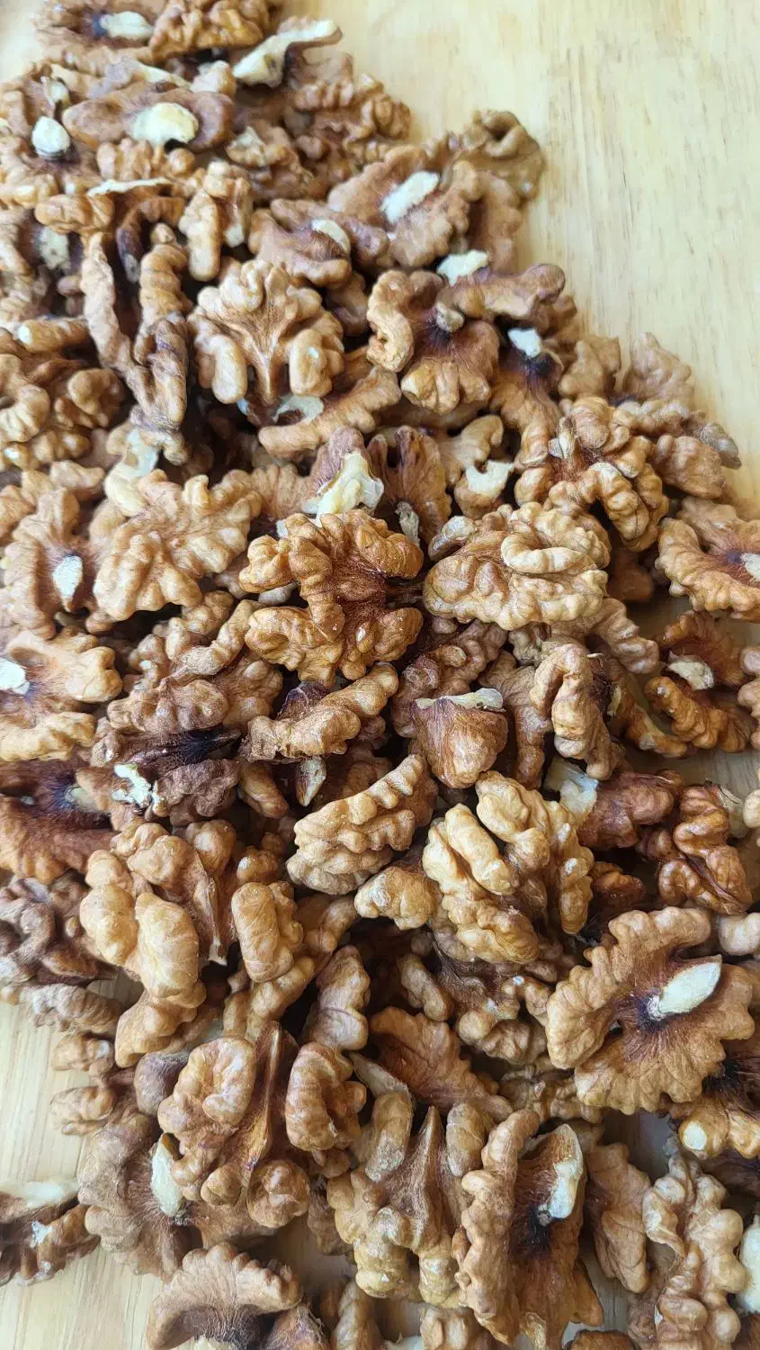 مغز گردو اعلا|خوردنی و آشامیدنی|هشتگرد, مدرس|دیوار