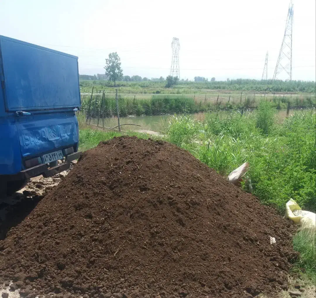 کود حیوانی گاوی وگوسفندی|خدمات باغبانی و درختکاری|لوشان, |دیوار