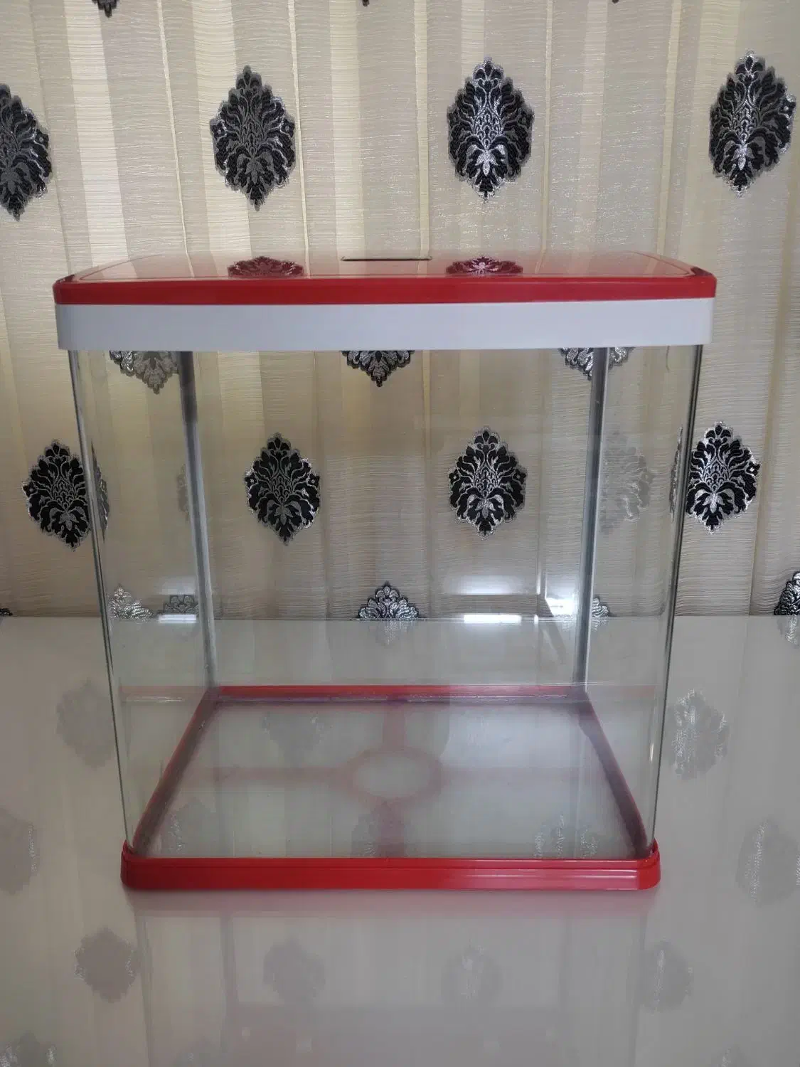 آکواریوم سالم و زیبا|ماهی|گرگان, |دیوار