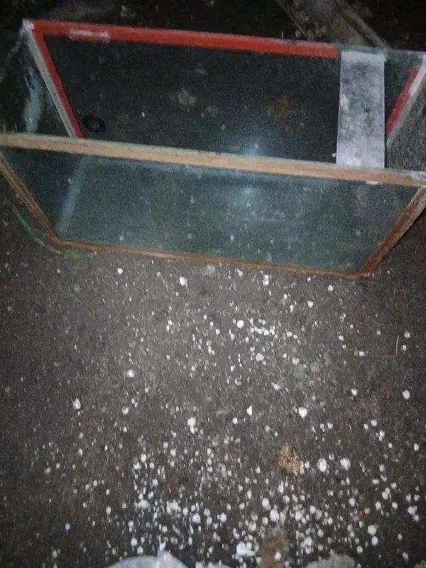 یک عدد  آکواریم شیشه زیرش ترک داره|ماهی|بندر انزلی, نوغان|دیوار