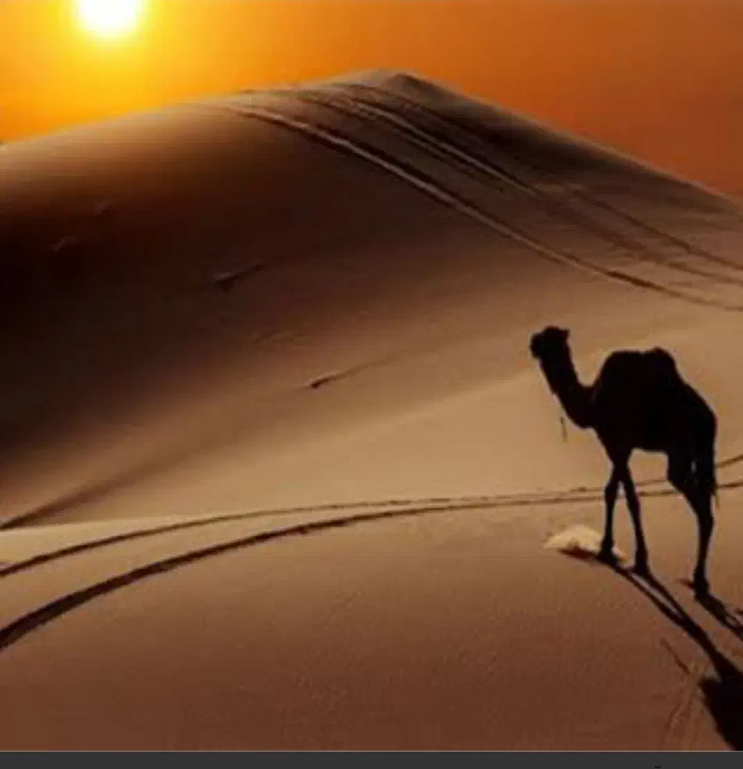 کویر گناوه آبگرم محلات درآبانماه|تور و چارتر|اصفهان, وحید|دیوار