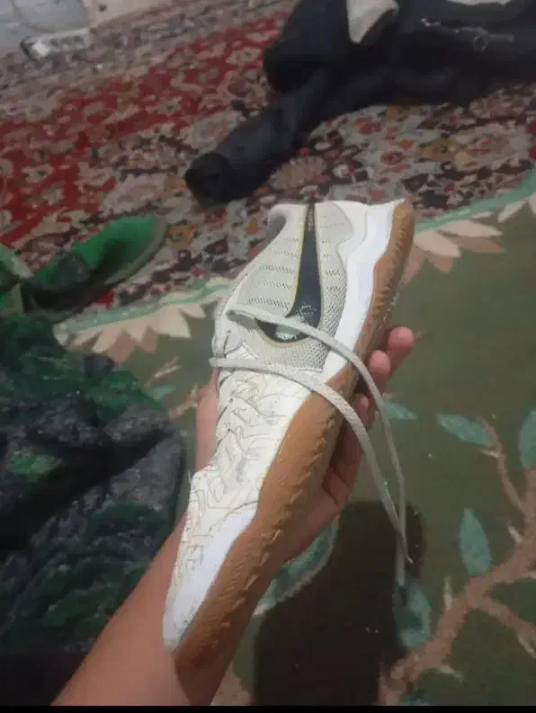 کفش فوتسال|کیف، کفش، کمربند|شیراز, سیاه سنگ|دیوار