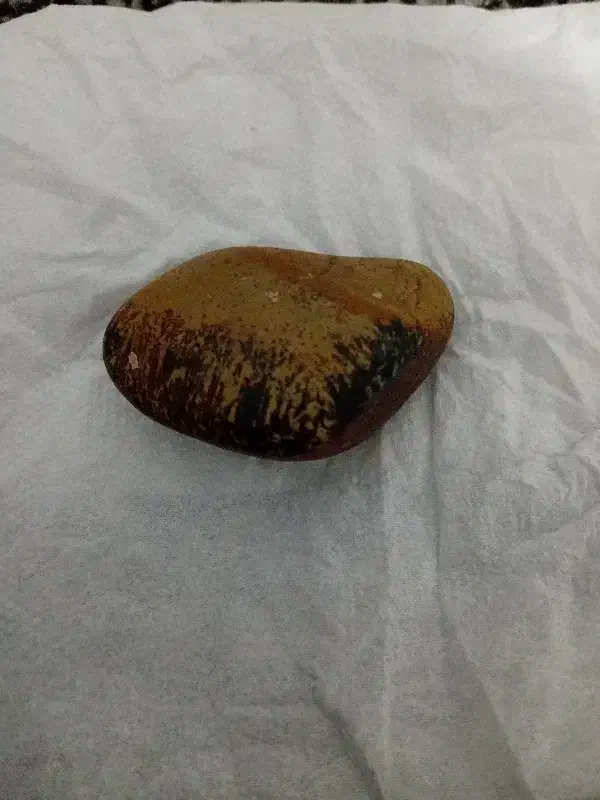 حجر شجر خام اصل|کلکسیون اشیاء عتیقه|شوش, |دیوار