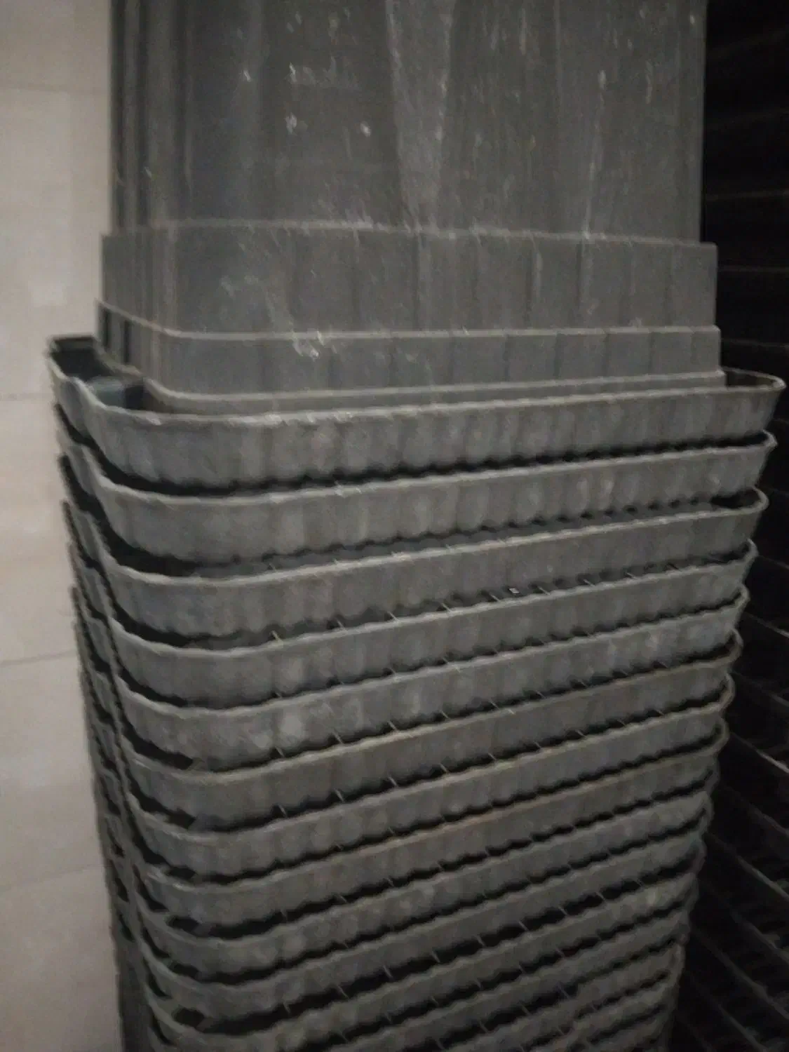 گلدان پلاستیکی|گل و گیاه طبیعی|تهران, خاوران|دیوار