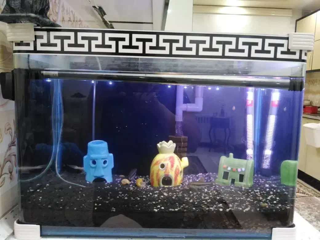 اکواریوم|ماهی|تهران, فلسطین (میدان انقلاب)|دیوار