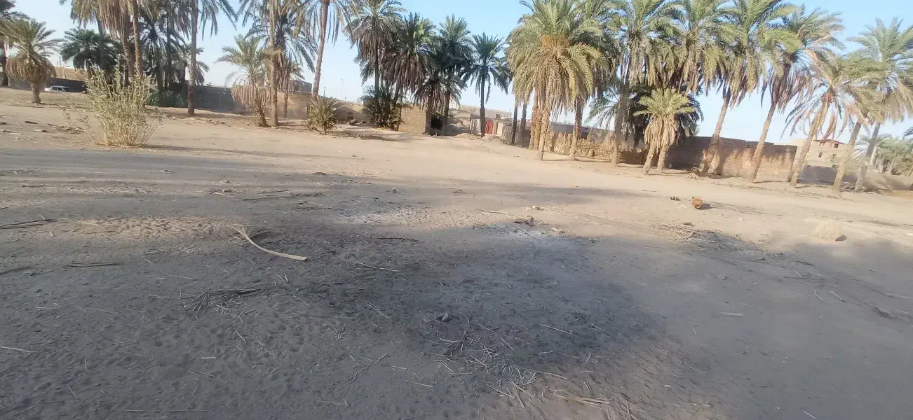 زمین محمدان 100متر فاصله با بزرگراه فتح مرادی|فروش زمین و ملک کلنگی|بمپور, |دیوار