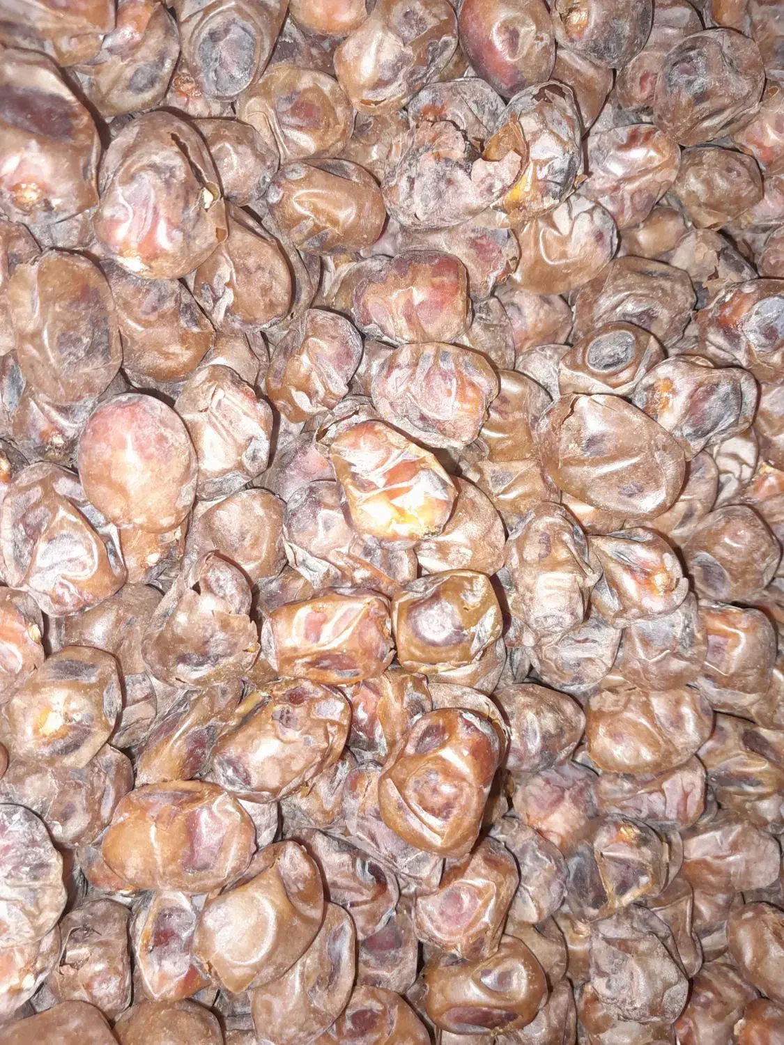 خوشمزه شیرین|حراج|سنندج, |دیوار