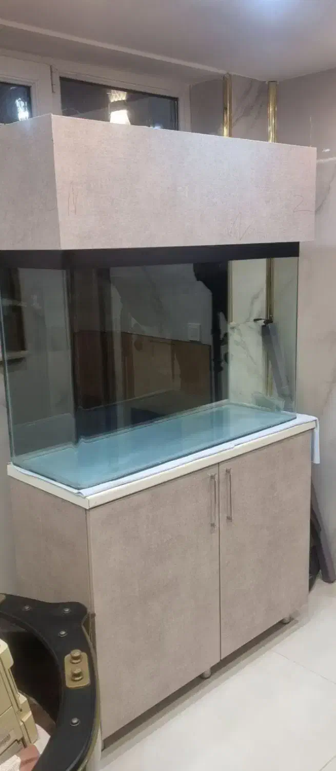 اکواریوم شیشه خم|ماهی|تبریز, |دیوار