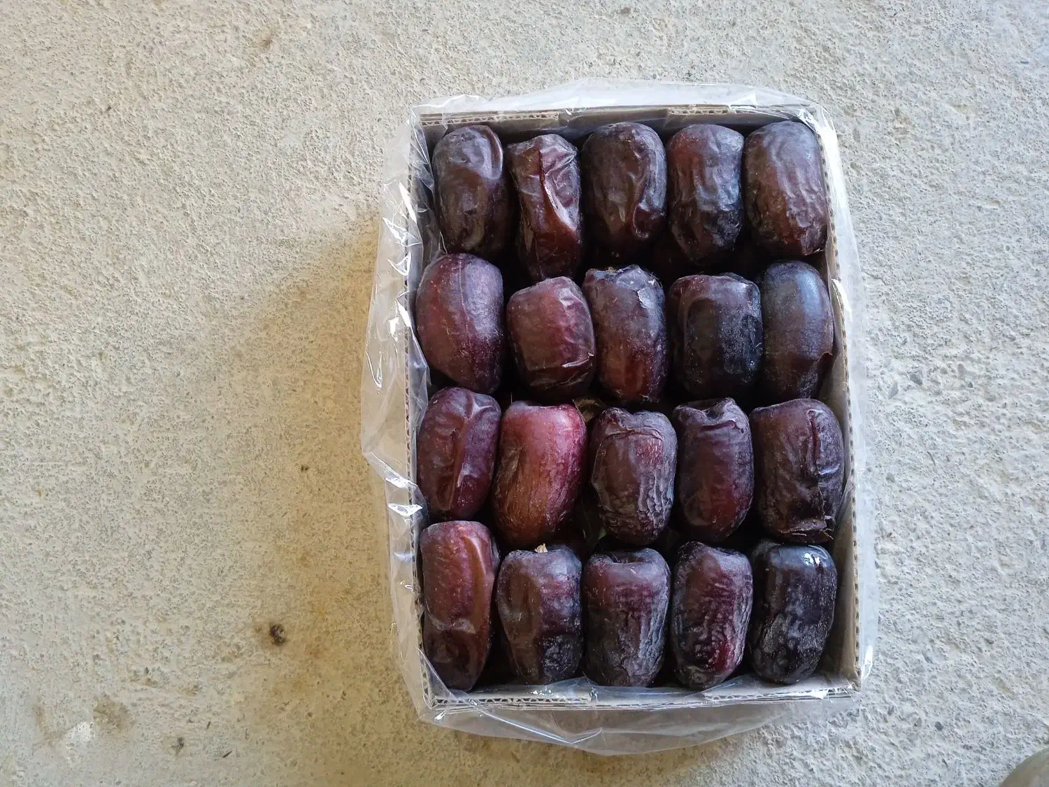 خرما دو ردیف کتابی|خوردنی و آشامیدنی|سیب و سوران, |دیوار