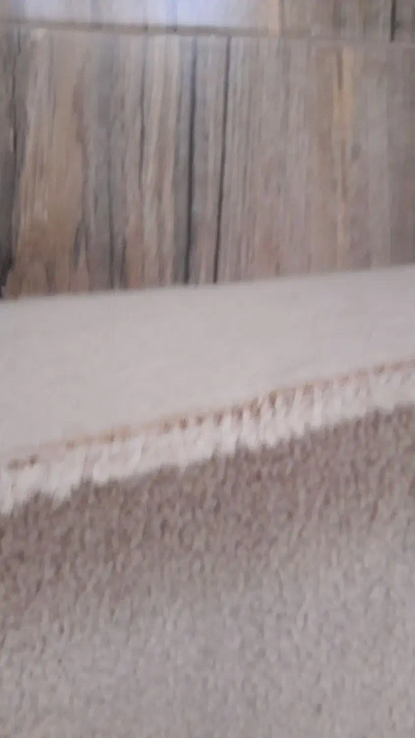 پالاز موکت ۶متری|موکت|ماهدشت, |دیوار