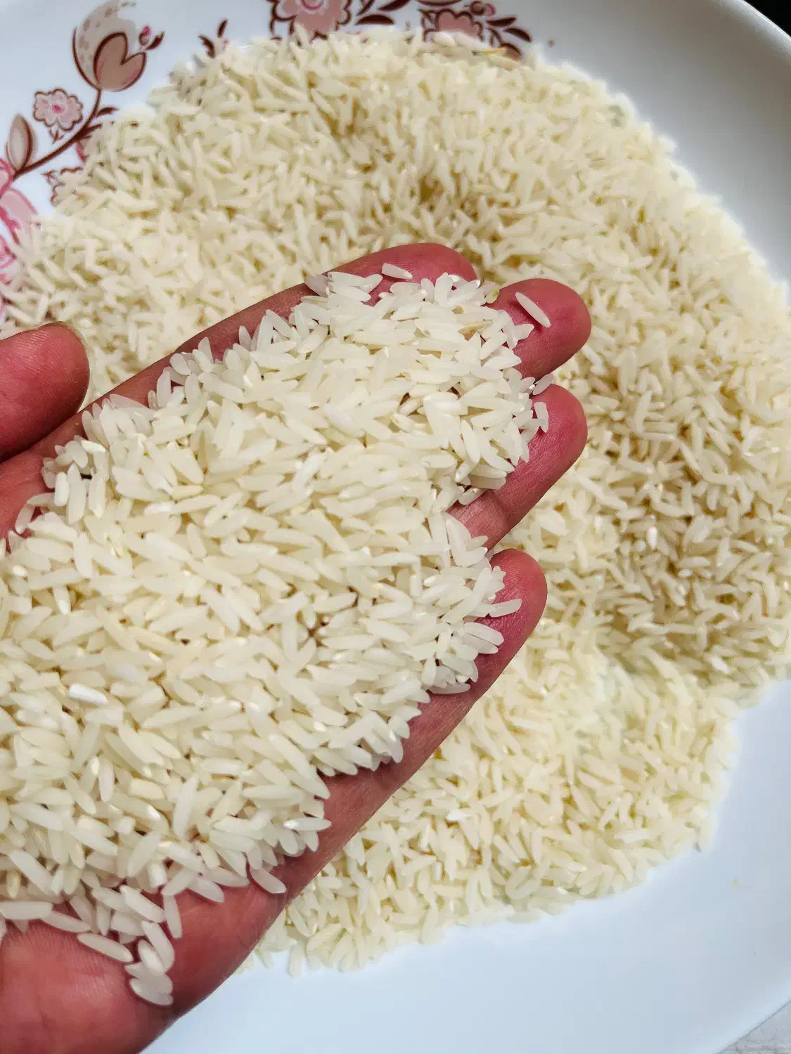 برنج هاشمی دانه بلند|خوردنی و آشامیدنی|رشت, دباغیان|دیوار