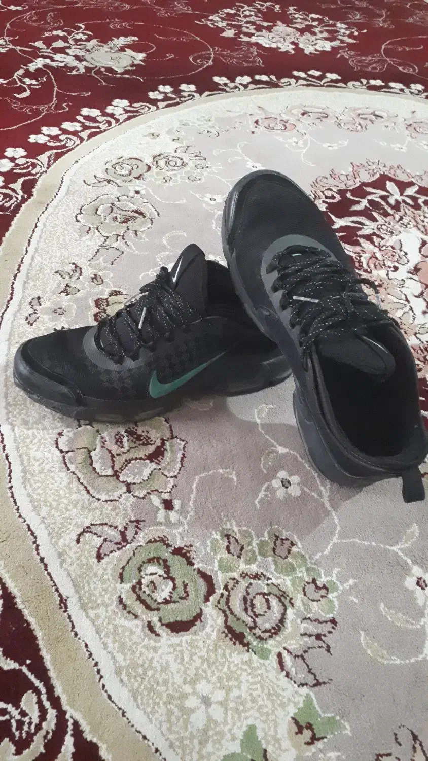 کفش نایک اصلی|کیف، کفش، کمربند|ایلام, |دیوار