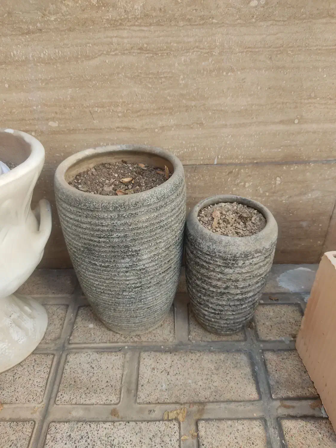 فروش گلدون|گل و گیاه طبیعی|ری, دیلمان|دیوار