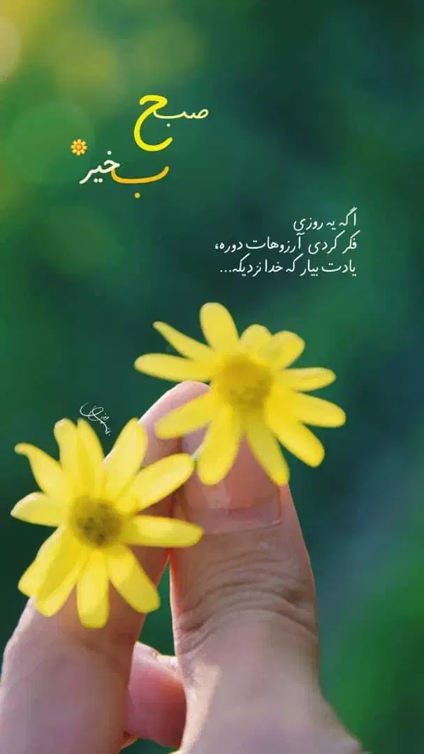 معلم خصوصی|خدمات آموزشی|بندر ماهشهر, |دیوار