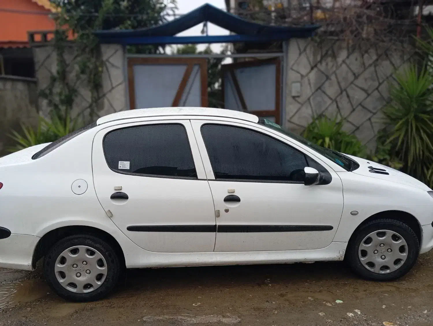 206sd|خودرو سواری و وانت|فومن, |دیوار