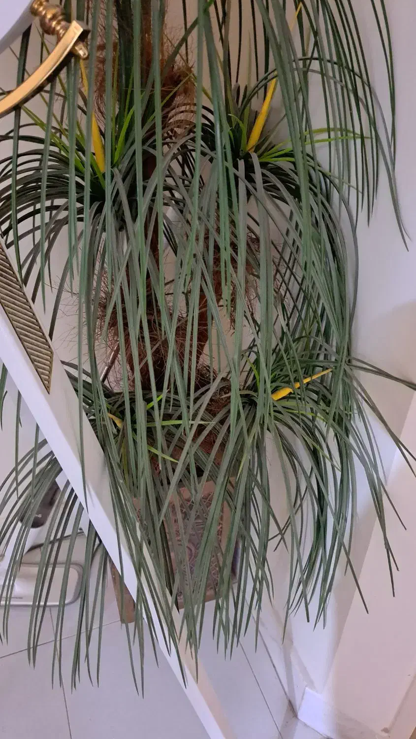 گلدان مصنوعی|گل مصنوعی|اصفهان, شهید رجایی|دیوار