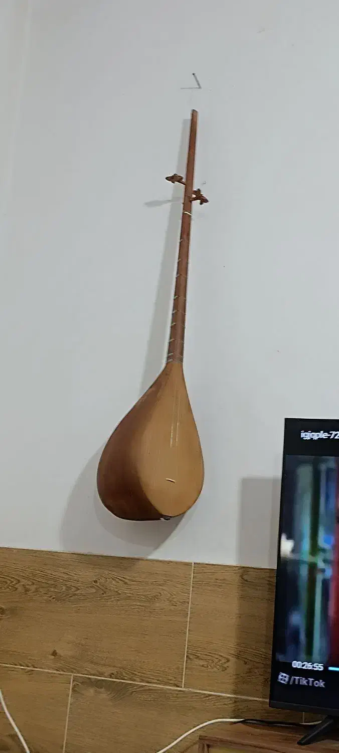 دوتار تربت جام|سازهای سنتی|مشهد, توس فردوسی|دیوار