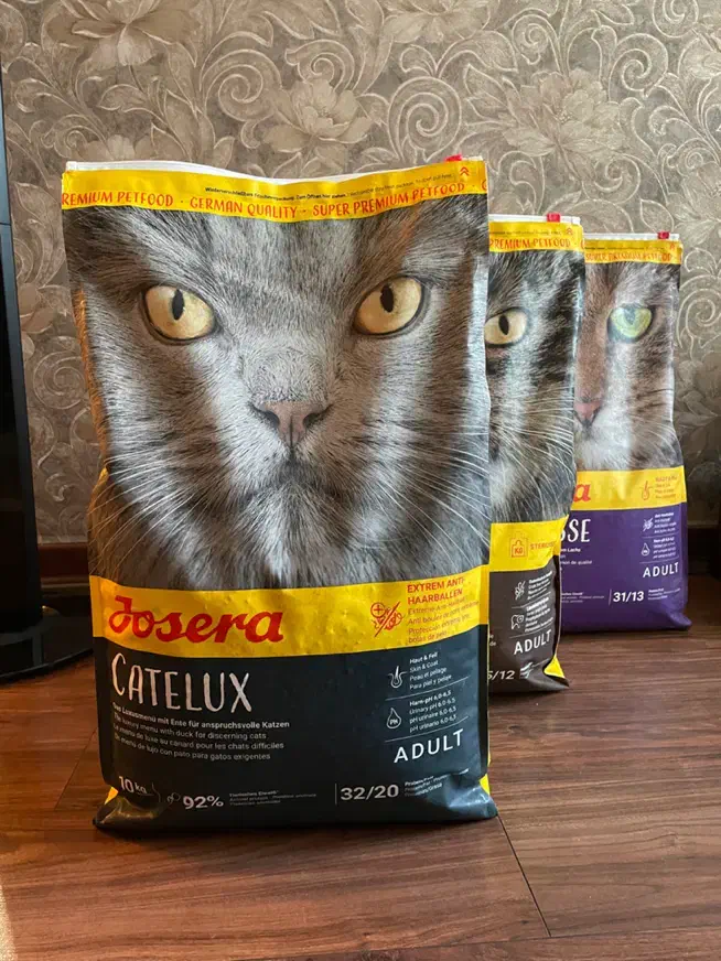 غذای خشک گربه|لوازم جانبی حیوانات|تهران, شیخ هادی|دیوار