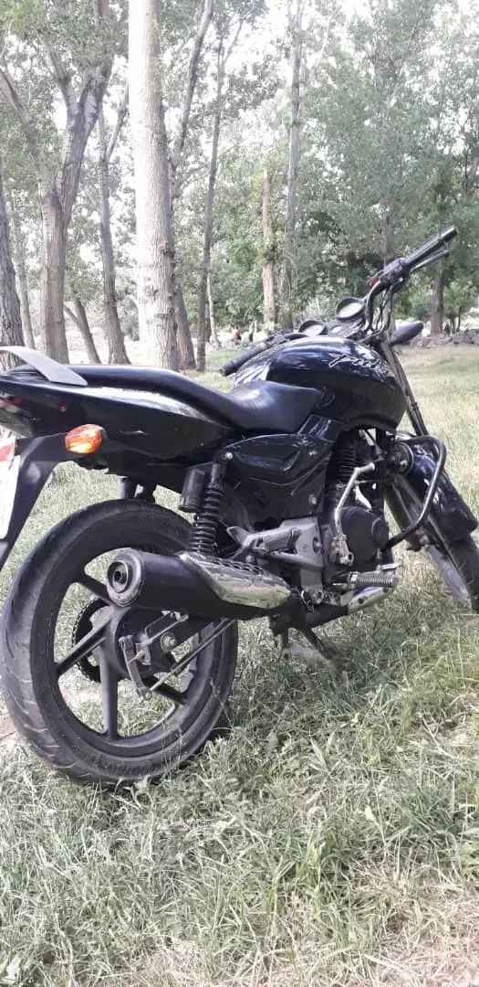 پالس باجاج مدل۸۸|موتورسیکلت|همدان, |دیوار