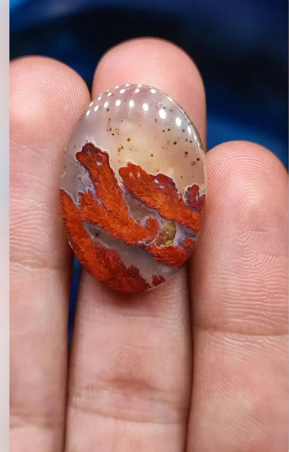 شجر درختی بی نظیر|جواهرات|سرایان, |دیوار