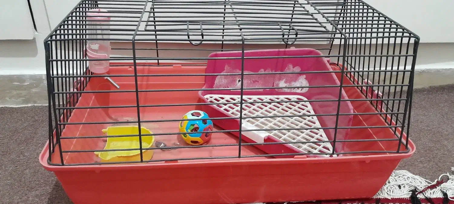 قفس خرگوش وخوکچه|لوازم جانبی حیوانات|تهران, جوادیه|دیوار