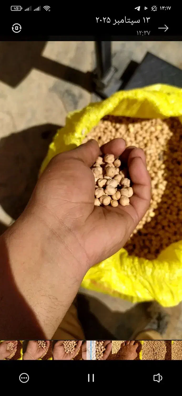 نخود سفید دو‌تن|خوردنی و آشامیدنی|موچش, |دیوار