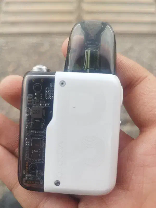 پاد آرگوسp2|زیورآلات و اکسسوری|شیراز, شیخ علی چوپان|دیوار