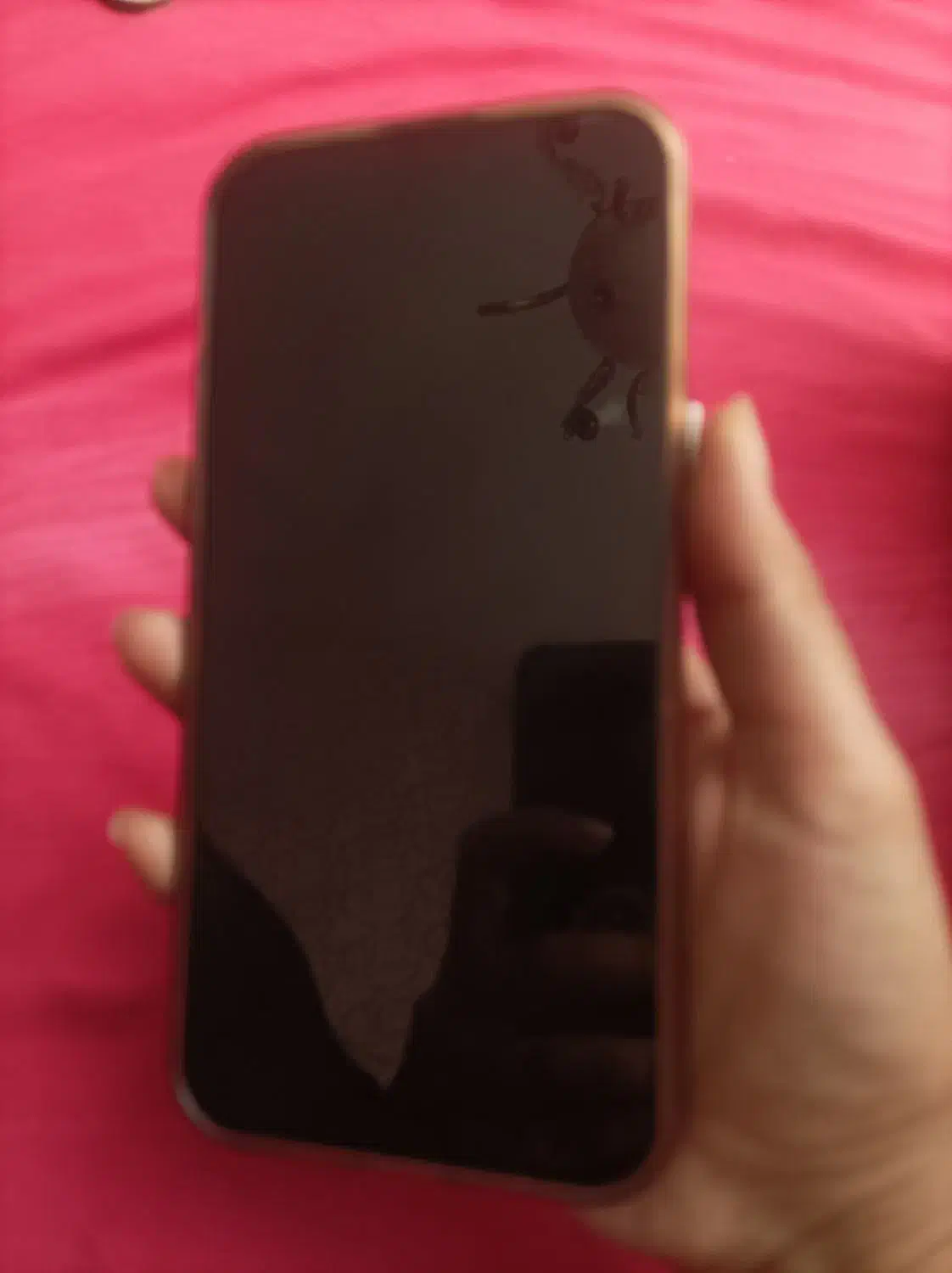 ایفون 14poromax|موبایل|شیراز, شاه قلی بیگی|دیوار