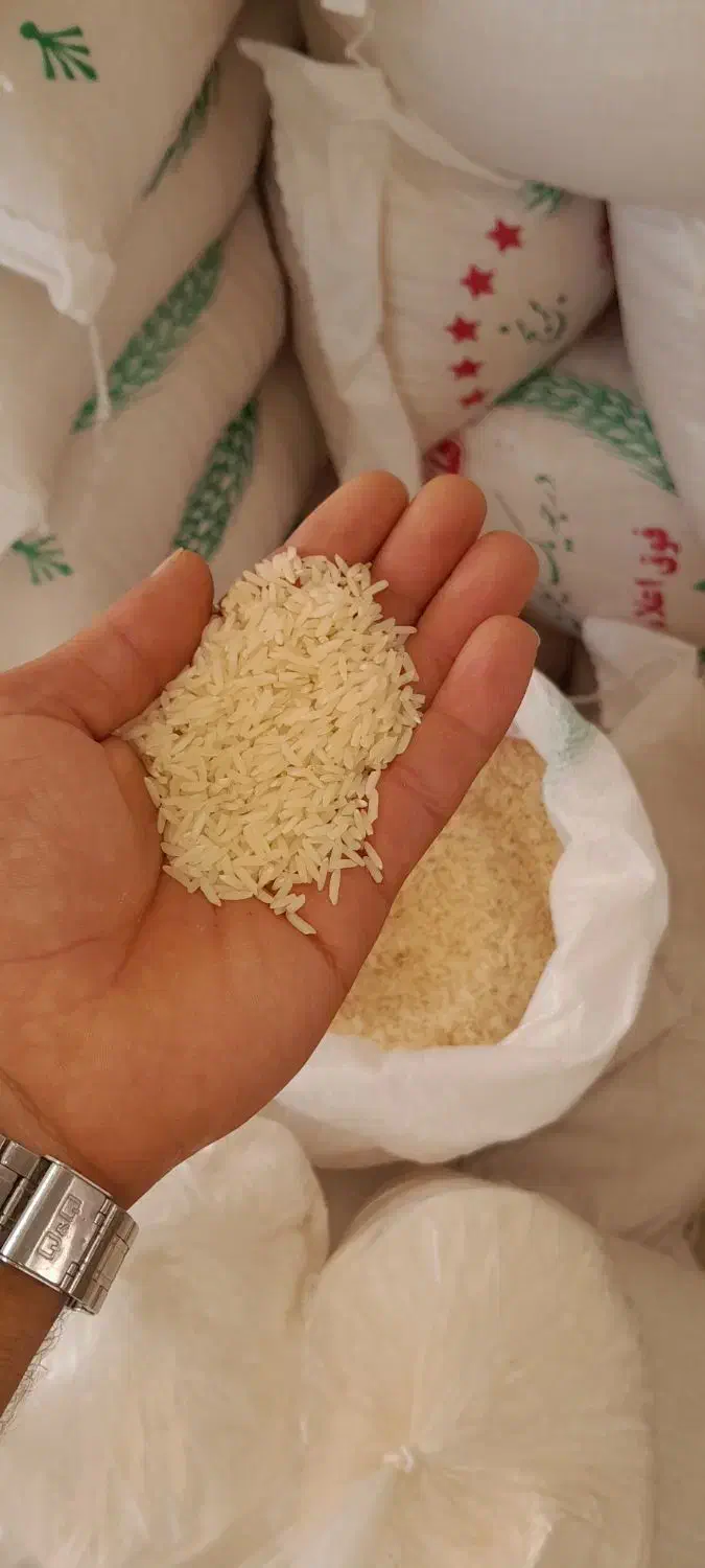 برنج هاشمی عطر دار آستارا|خوردنی و آشامیدنی|آستارا, |دیوار