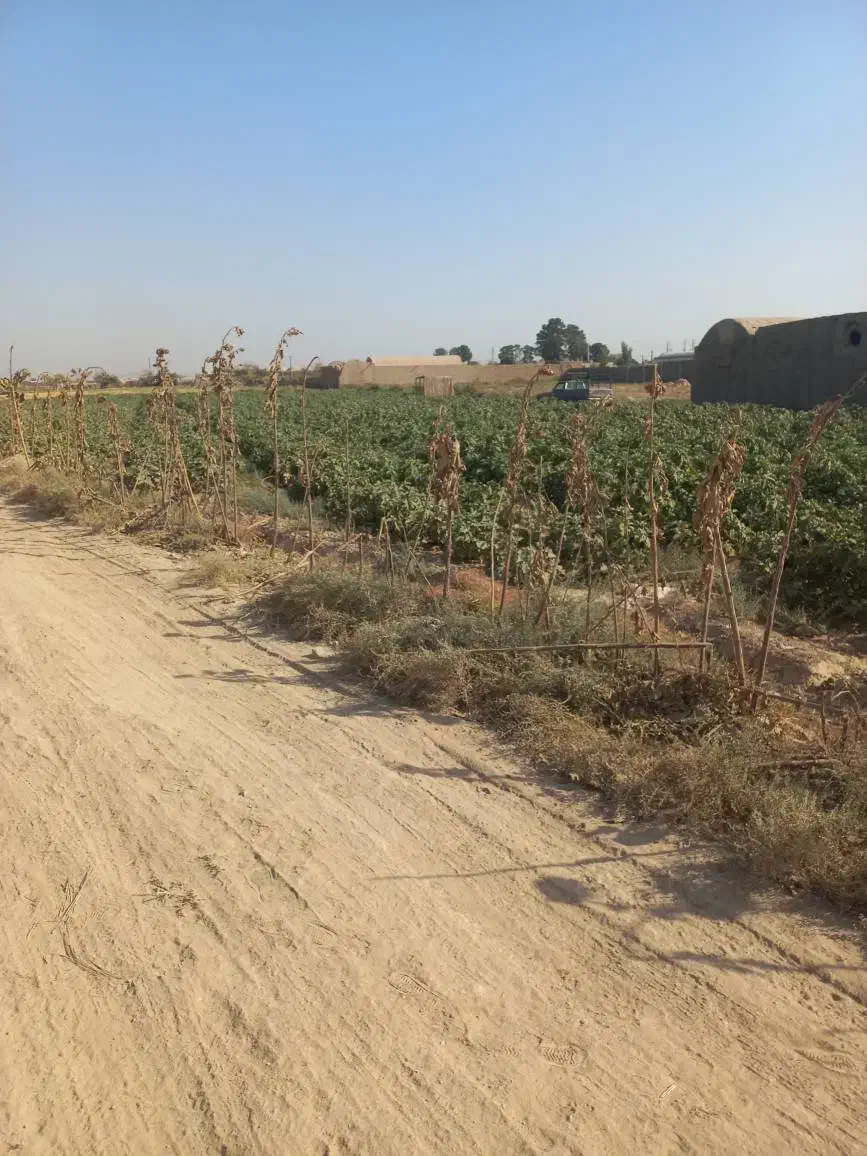 فروش ۴۲۷۰متری زمین کشاورزی روستای تجره|فروش زمین و ملک کلنگی|جوادآباد, |دیوار