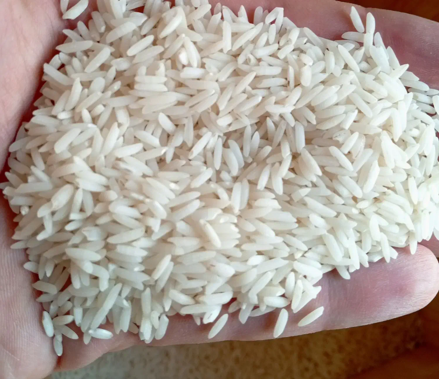 برنج سفید هاشمی درجه یک|خوردنی و آشامیدنی|تهران, سازمان برنامه جنوبی|دیوار