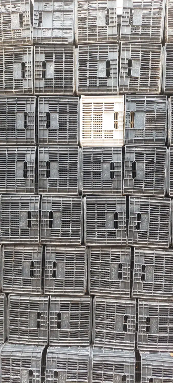 سبد  پلاستیکی حمال|ظروف نگهدارنده، پلاستیکی، یک‌بارمصرف|سیدان, |دیوار