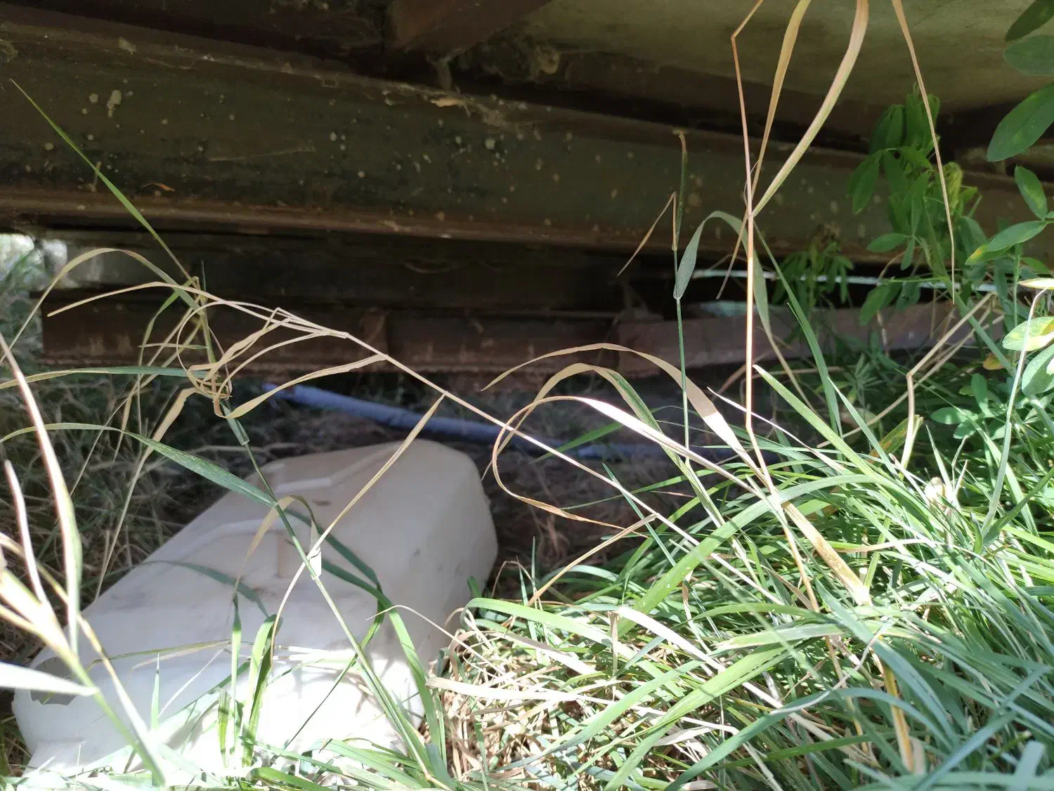 کانکس|مصالح و تجهیزات ساختمان|اهر, |دیوار