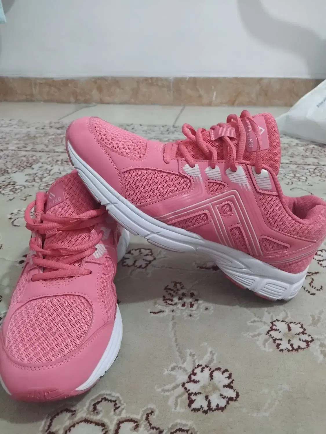 کتونی|کیف، کفش، کمربند|کرج, عظیمیه|دیوار