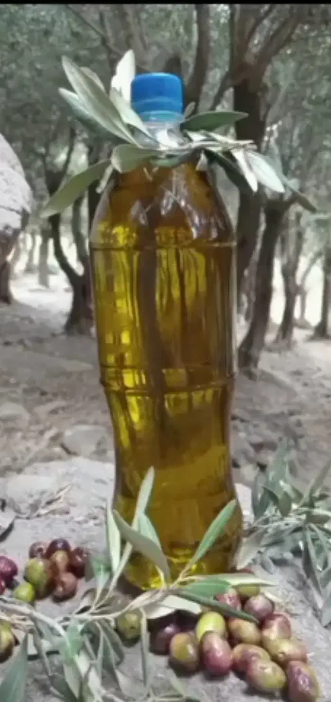 فروش ۱۰۰کیلو روغن زیتون محلی و اصل|خوردنی و آشامیدنی|رودبار, |دیوار