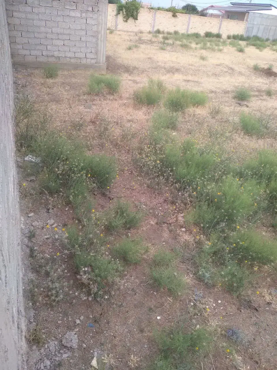 فروش فوری زمین مسکونی 225متر|فروش مغازه و غرفه|بیله سوار, |دیوار