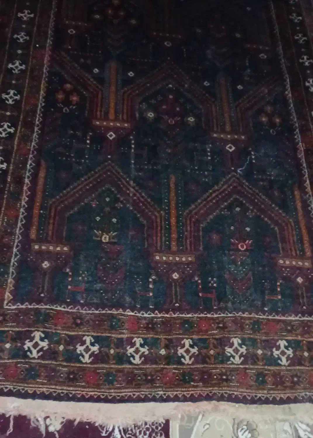 قالی دستباف|فرش|زابل, |دیوار