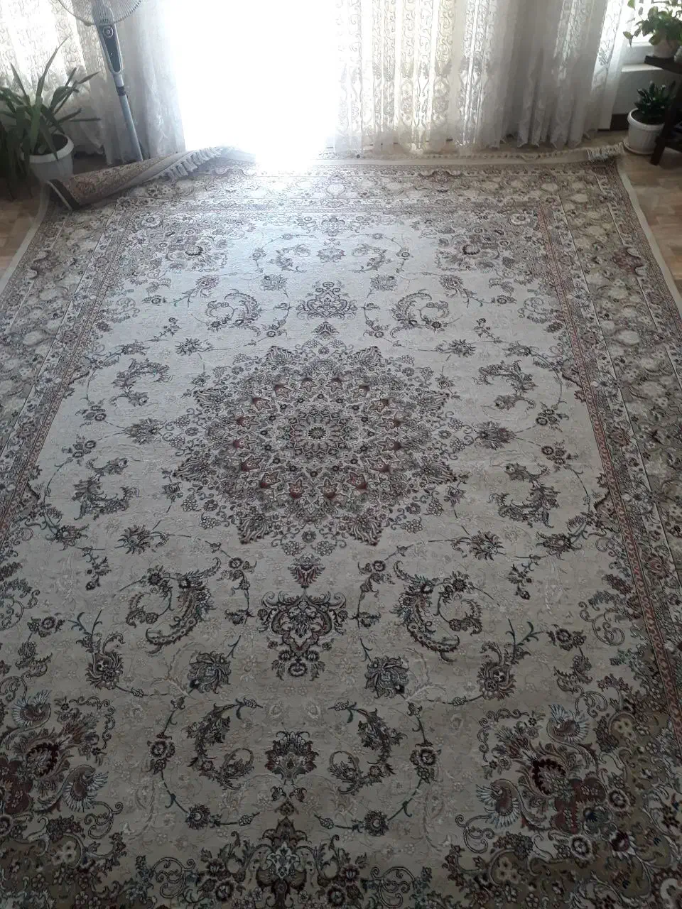 فرش ماشینی 700 شانه بافت مشهد (۴×۳)|فرش|گنبد کاووس, |دیوار