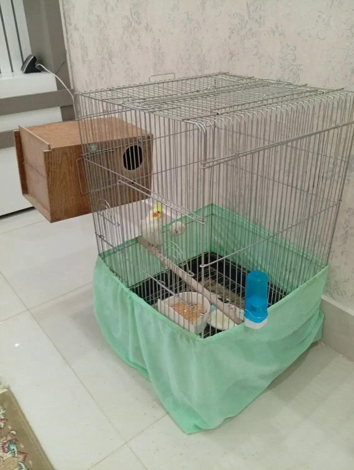 قفس پرنده|لوازم جانبی حیوانات|سبزوار, کلاته سیفر|دیوار