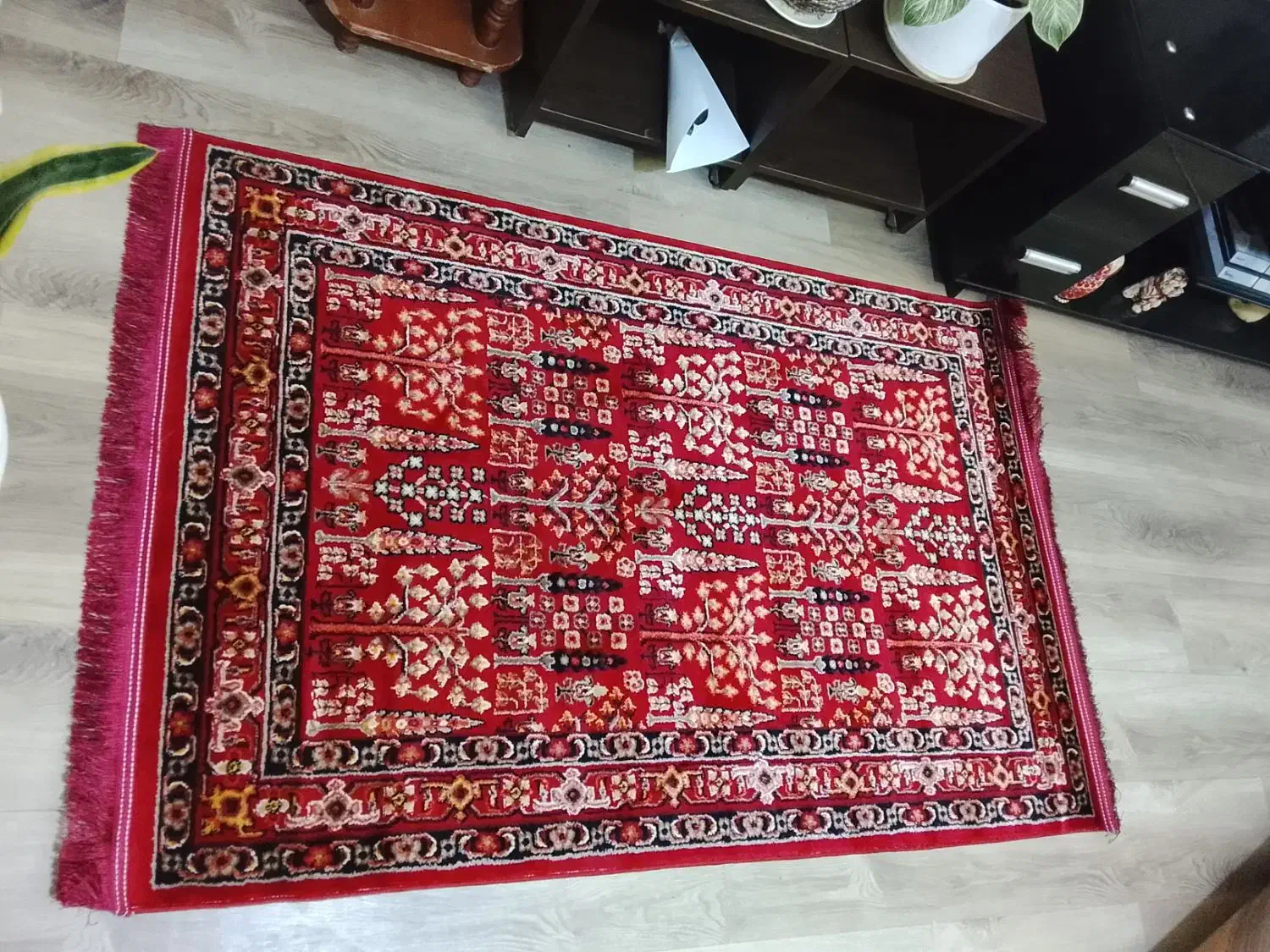 فرش|فرش|خمام, |دیوار