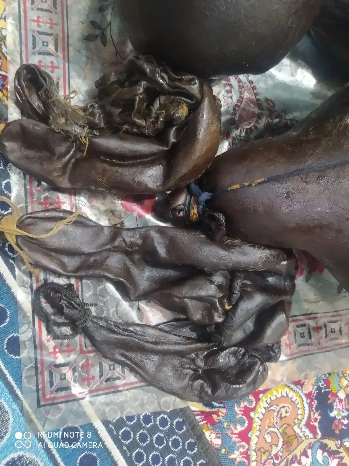 هیزه گوسفندی تازه به شرط|ظروف نگهدارنده، پلاستیکی، یکبارمصرف|ایلام, |دیوار