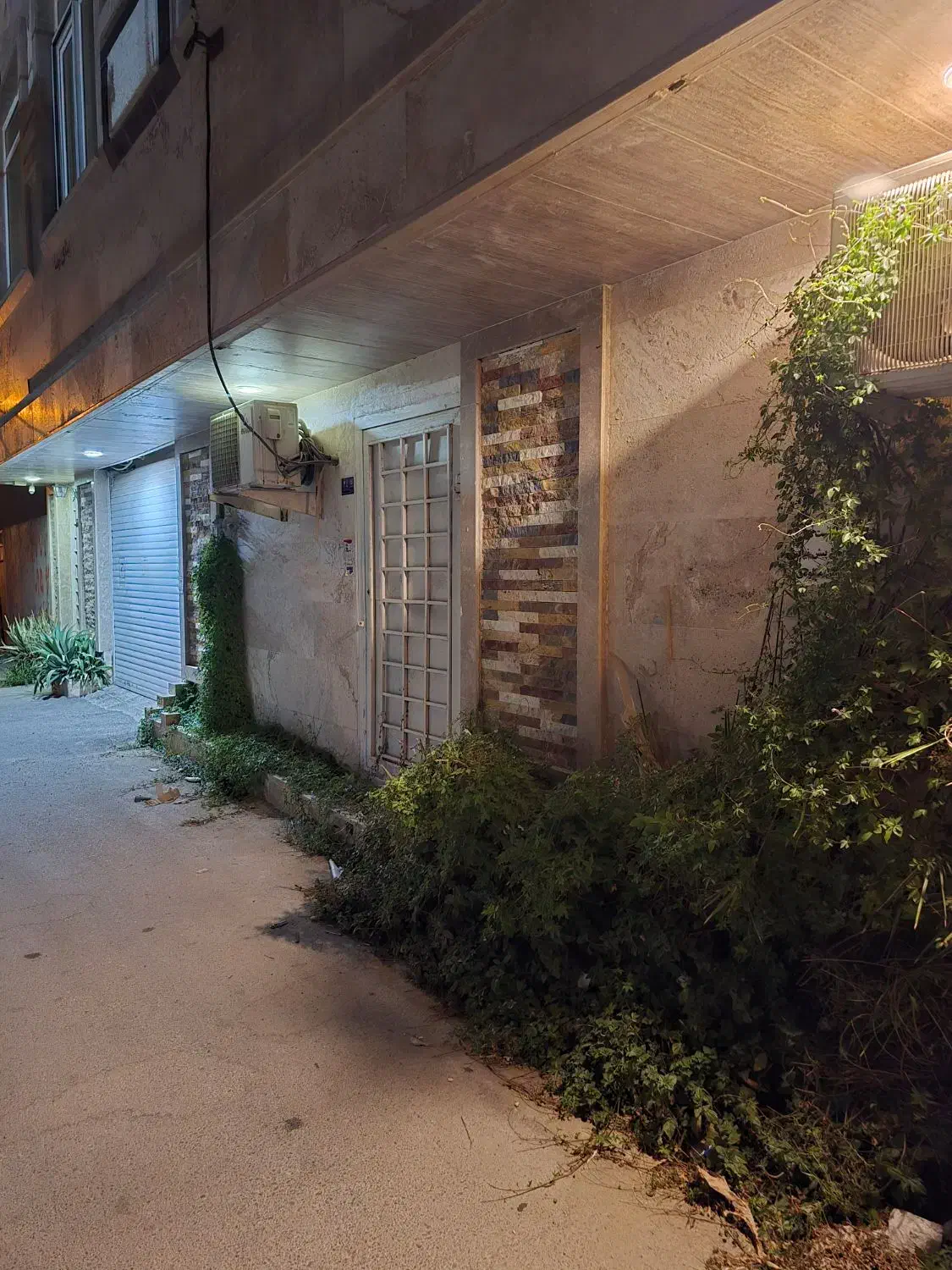 سوئیت تک خواب تنگک یک موقعیت مکانی عالی سند تک برگ|فروش آپارتمان|بوشهر, |دیوار