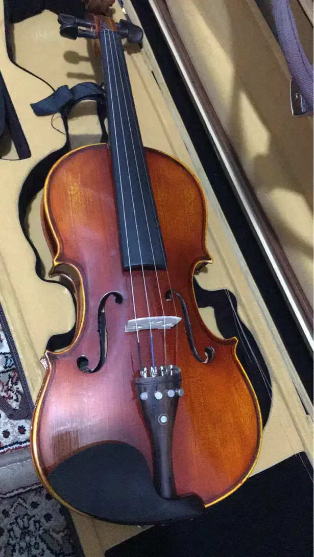 ویولن مولر۴/۴|ویولن|قشم, |دیوار